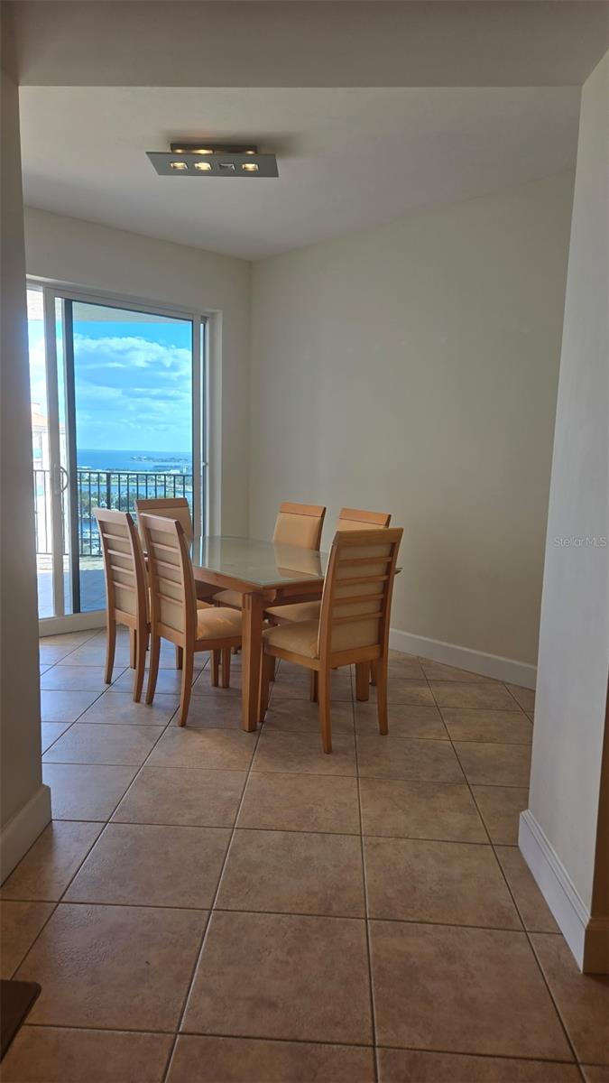 Listing photo id 10 for 300 Beach Drive Ne 1604