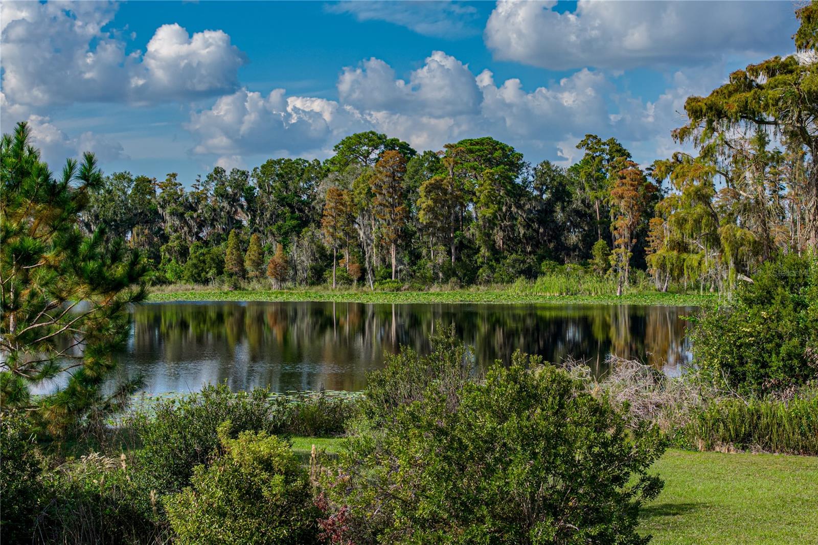 Image 46 of 77 For 19493 Leonard Road