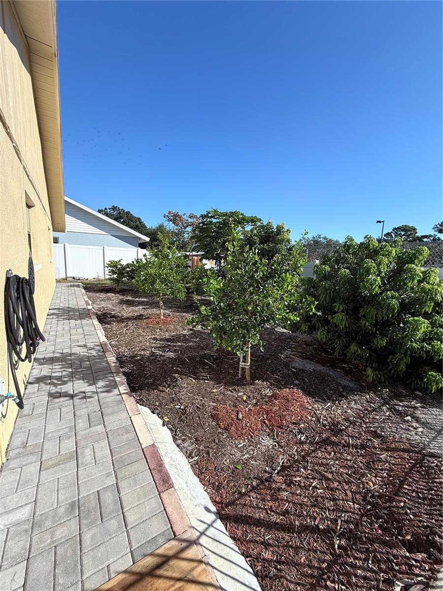 Image 6 of 28 For 8813 Magnolia Court