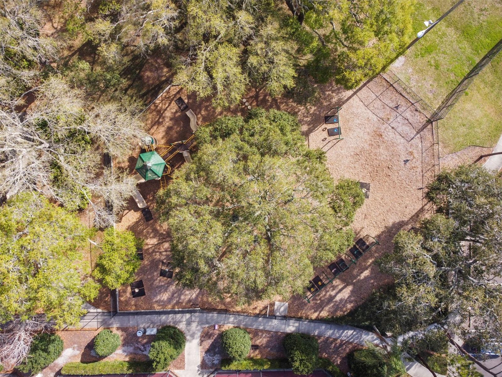 Image 72 of 75 For 1339 Summerlin Drive