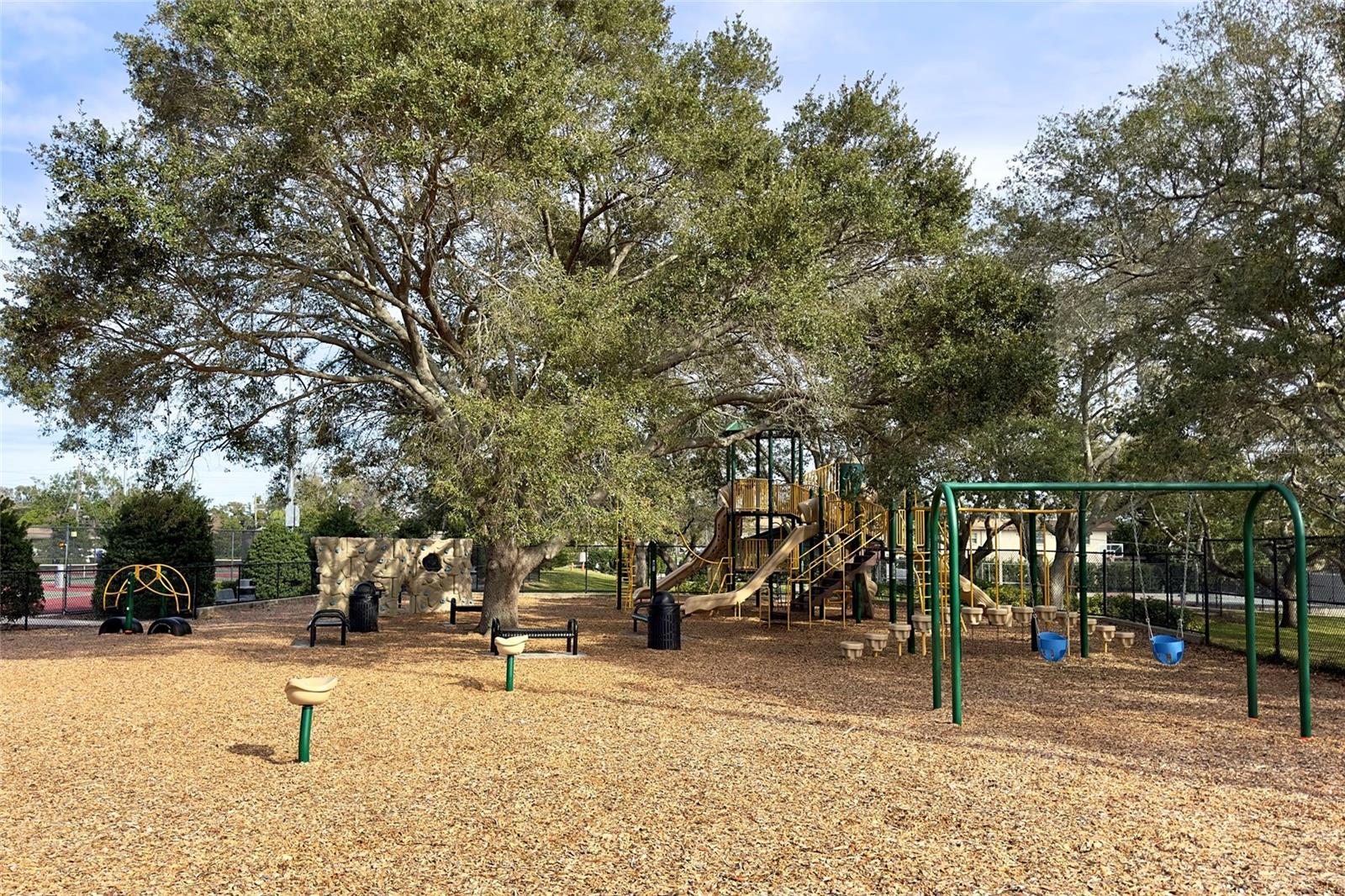 Image 75 of 75 For 1339 Summerlin Drive