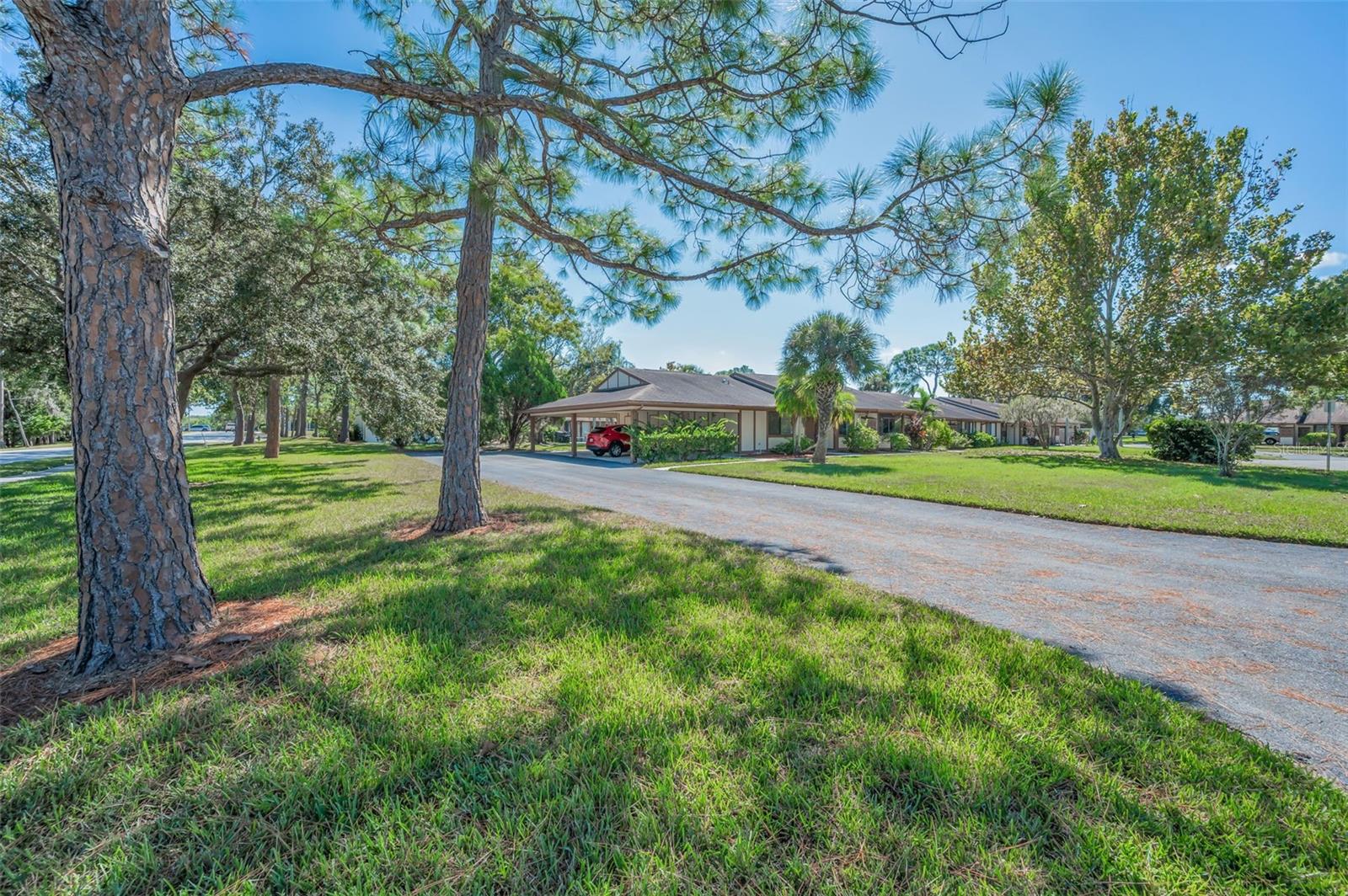 Image 38 of 88 For 215 Corkwood Lane