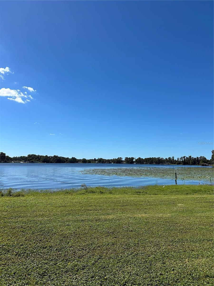 Image 13 of 23 For Ocasta Avenue