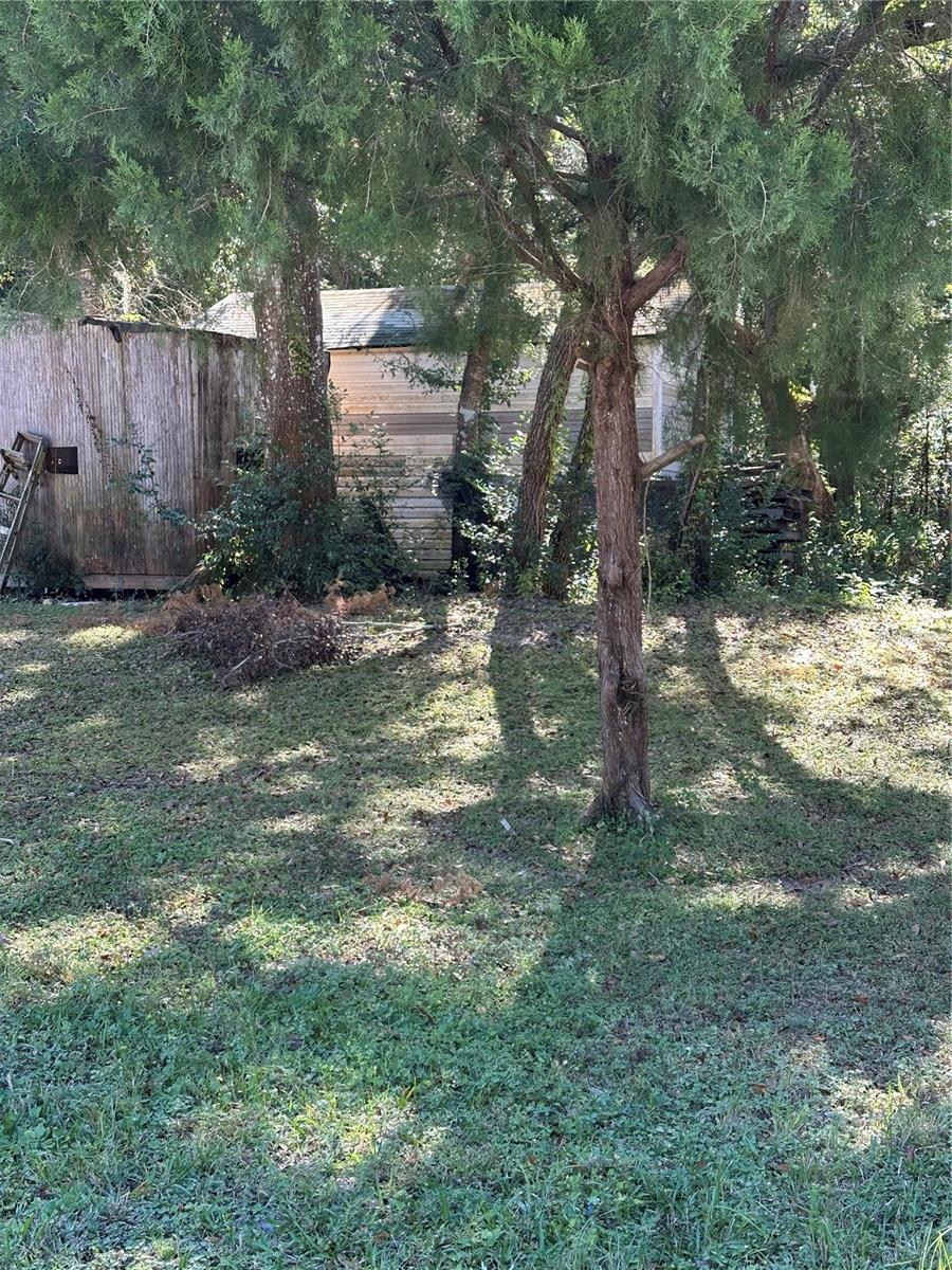 Image 3 of 23 For Ocasta Avenue