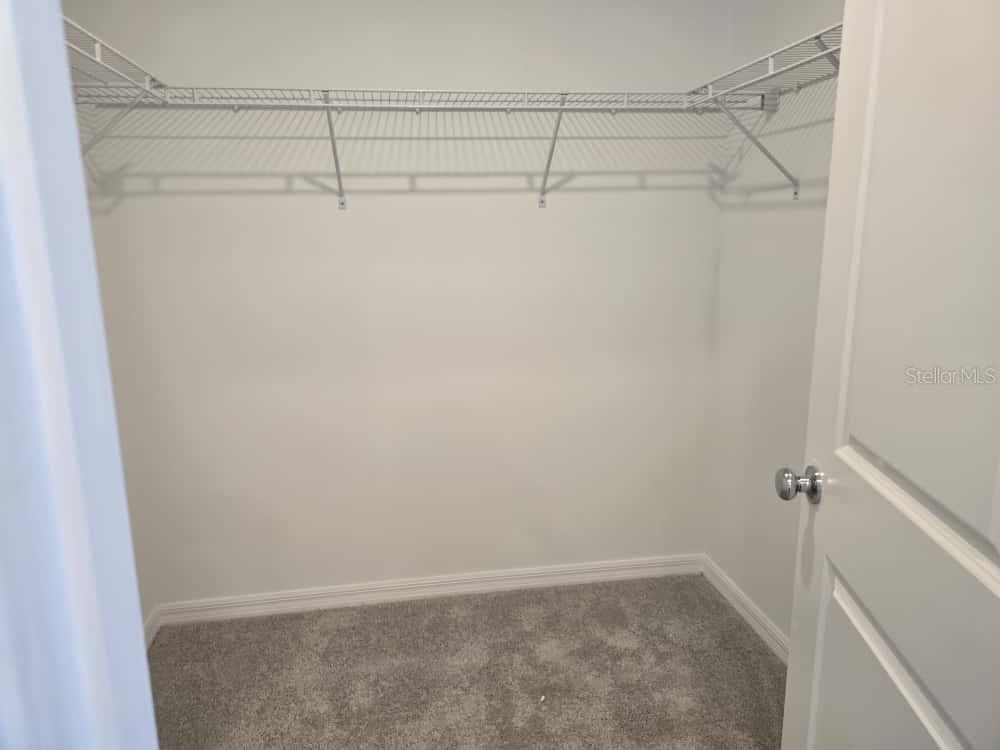 Image 33 of 49 For 10135 Trumpet Honeysuckle Way