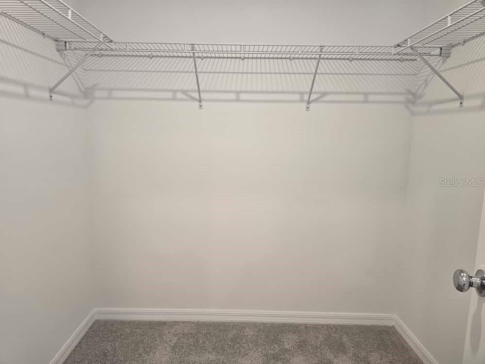 Image 34 of 49 For 10135 Trumpet Honeysuckle Way