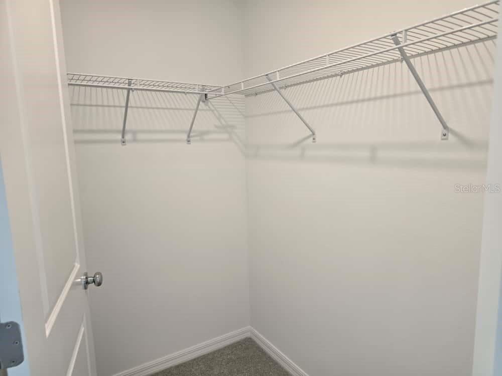 Image 43 of 49 For 10135 Trumpet Honeysuckle Way