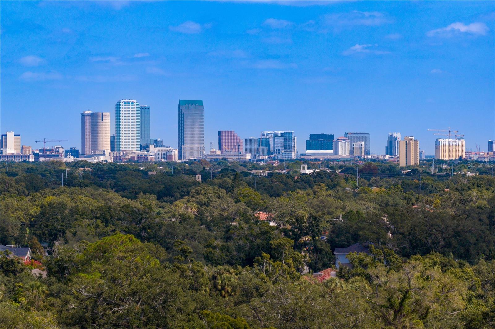 Image 66 of 66 For 4511 Swann Avenue