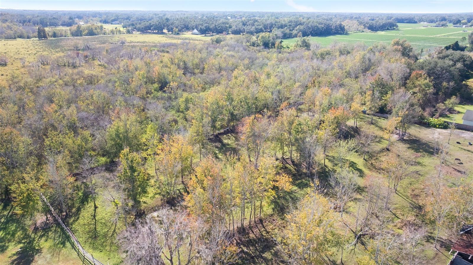 Image 48 of 49 For 4817 Miley Road