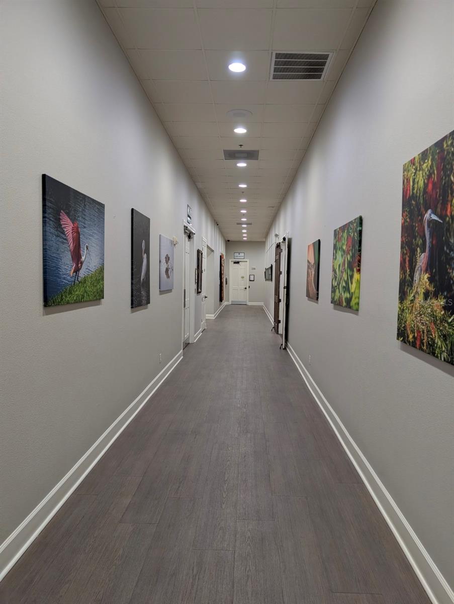 Image 74 of 80 For 5201 Green Drive