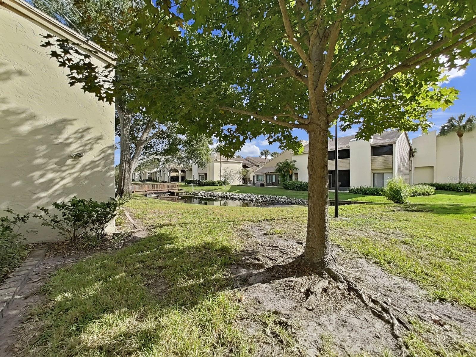 Image 33 of 46 For 4118 Pinelake Lane 102