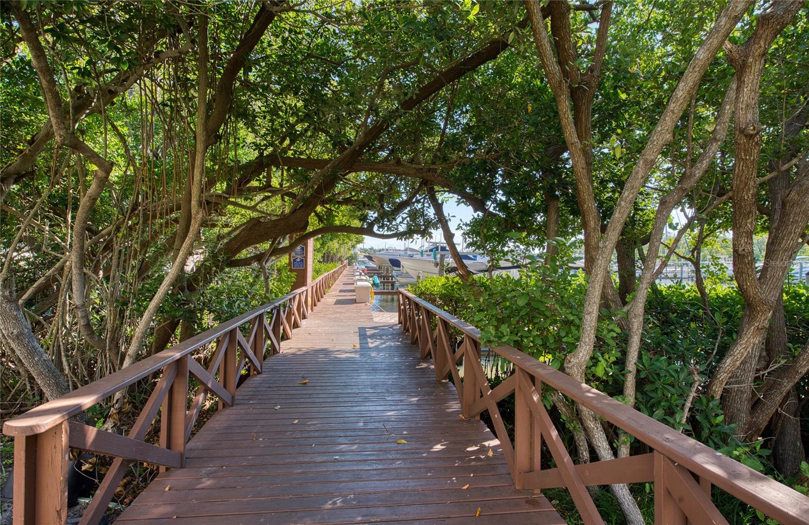 Image 68 of 81 For 1312 Pasadena Avenue S 14