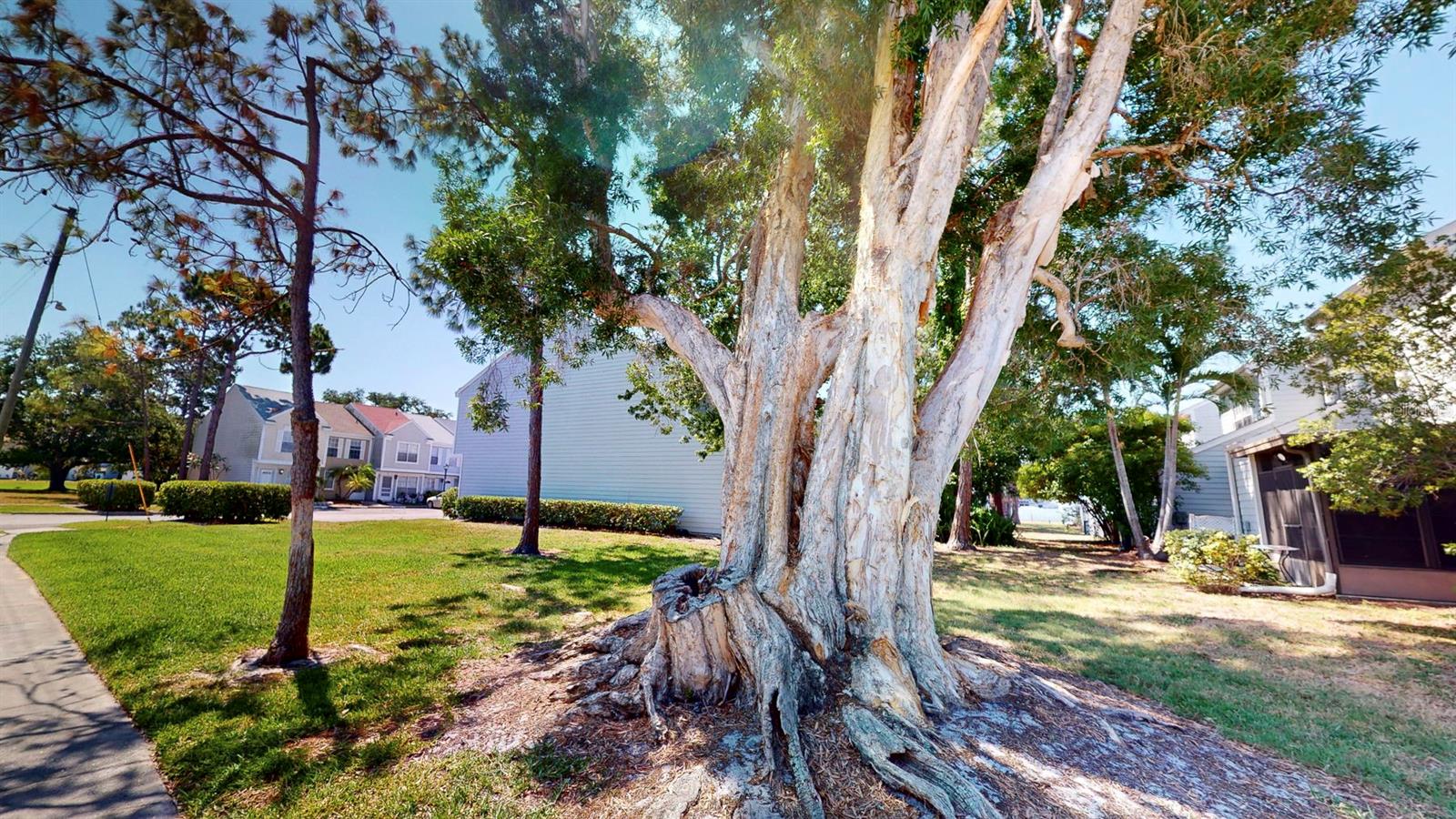 Image 51 of 56 For 6710 121st Avenue 12