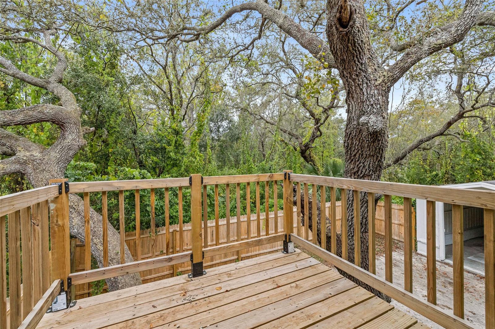 Image 27 of 39 For 10020 Jungle Street