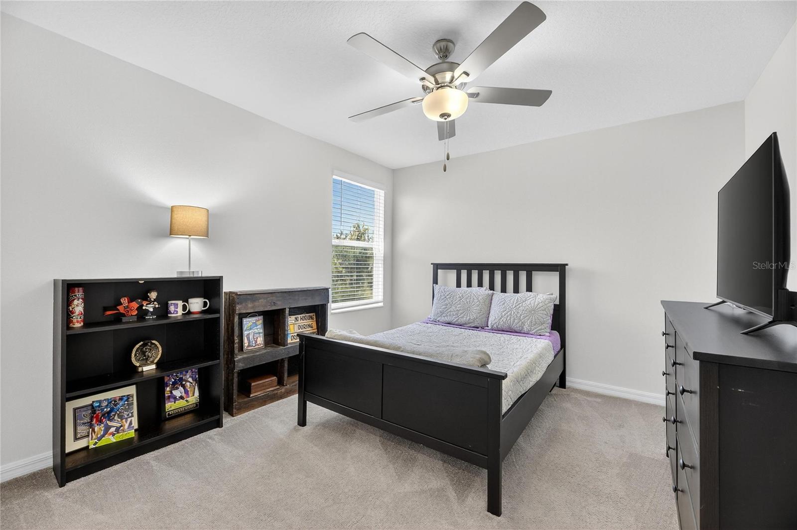 Image 46 of 79 For 13423 Jamaica Plank Loop