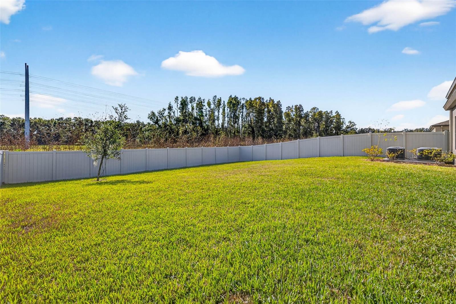 Image 53 of 67 For 14531 Woodland Spur Drive