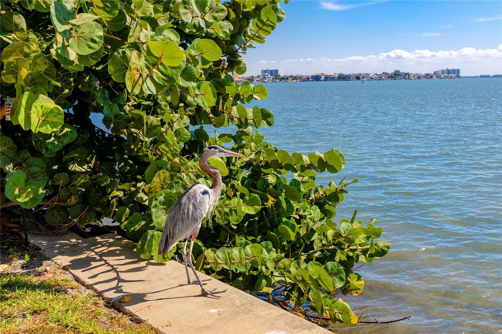 Image 34 of 57 For 1893 Shore Drive S 302