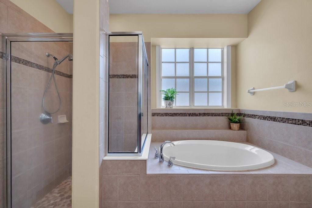 Image 19 of 36 For 16001 Loneoak View Drive