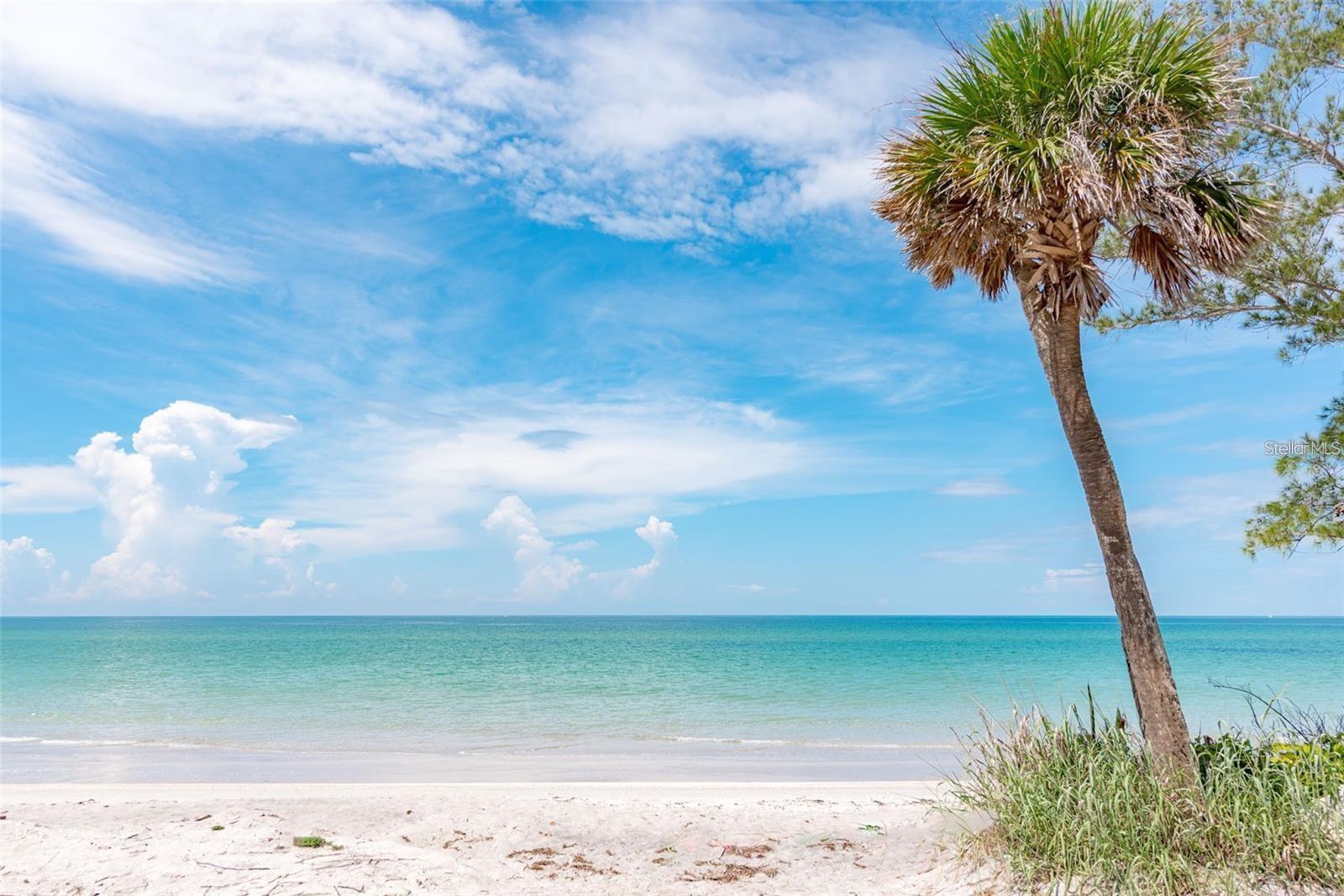 Image 75 of 94 For 26 Clintwood Avenue