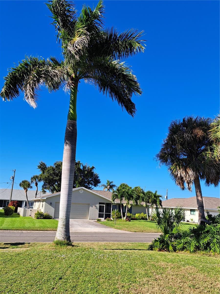 Image 79 of 94 For 26 Clintwood Avenue