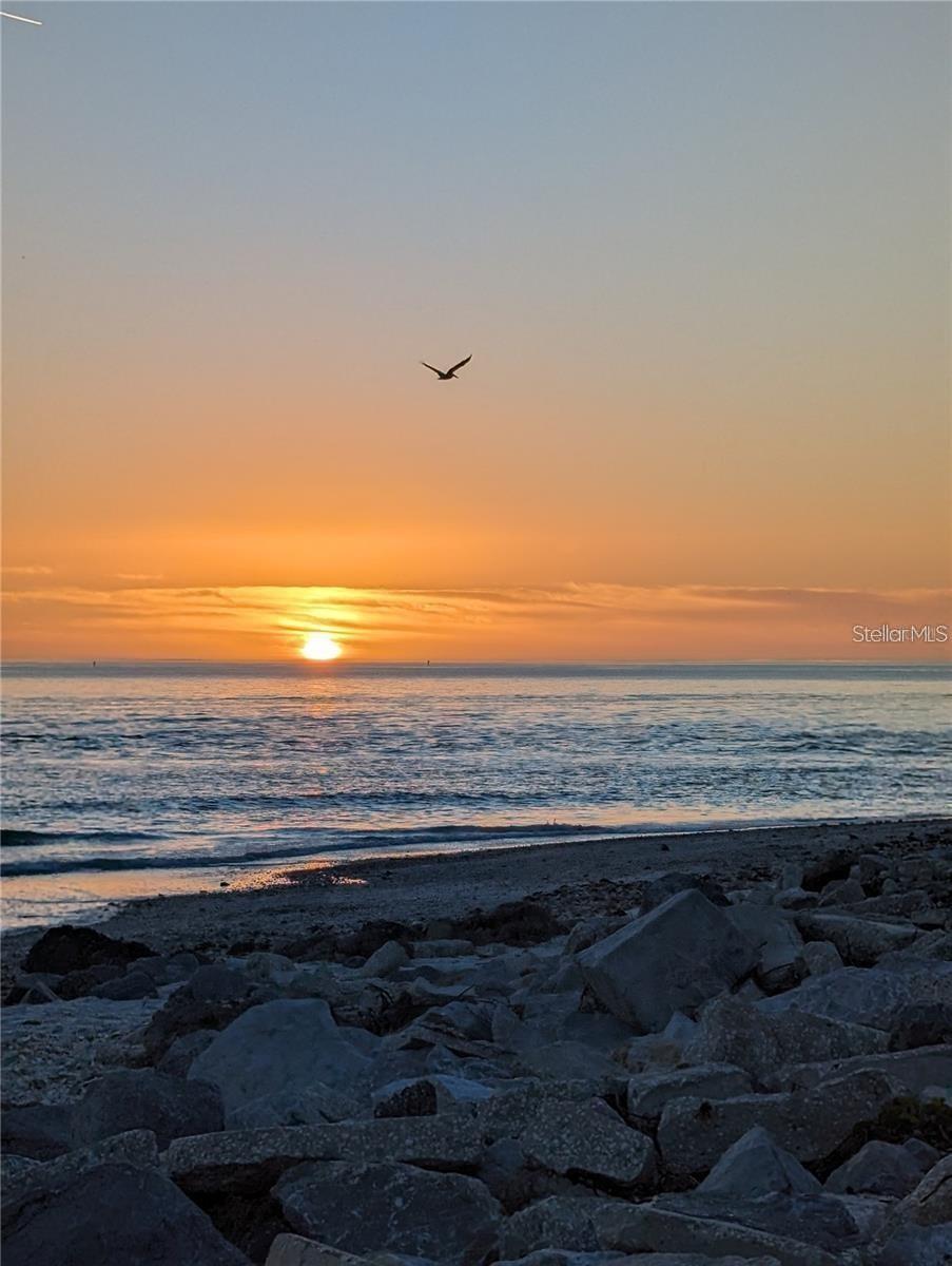 Image 84 of 94 For 26 Clintwood Avenue