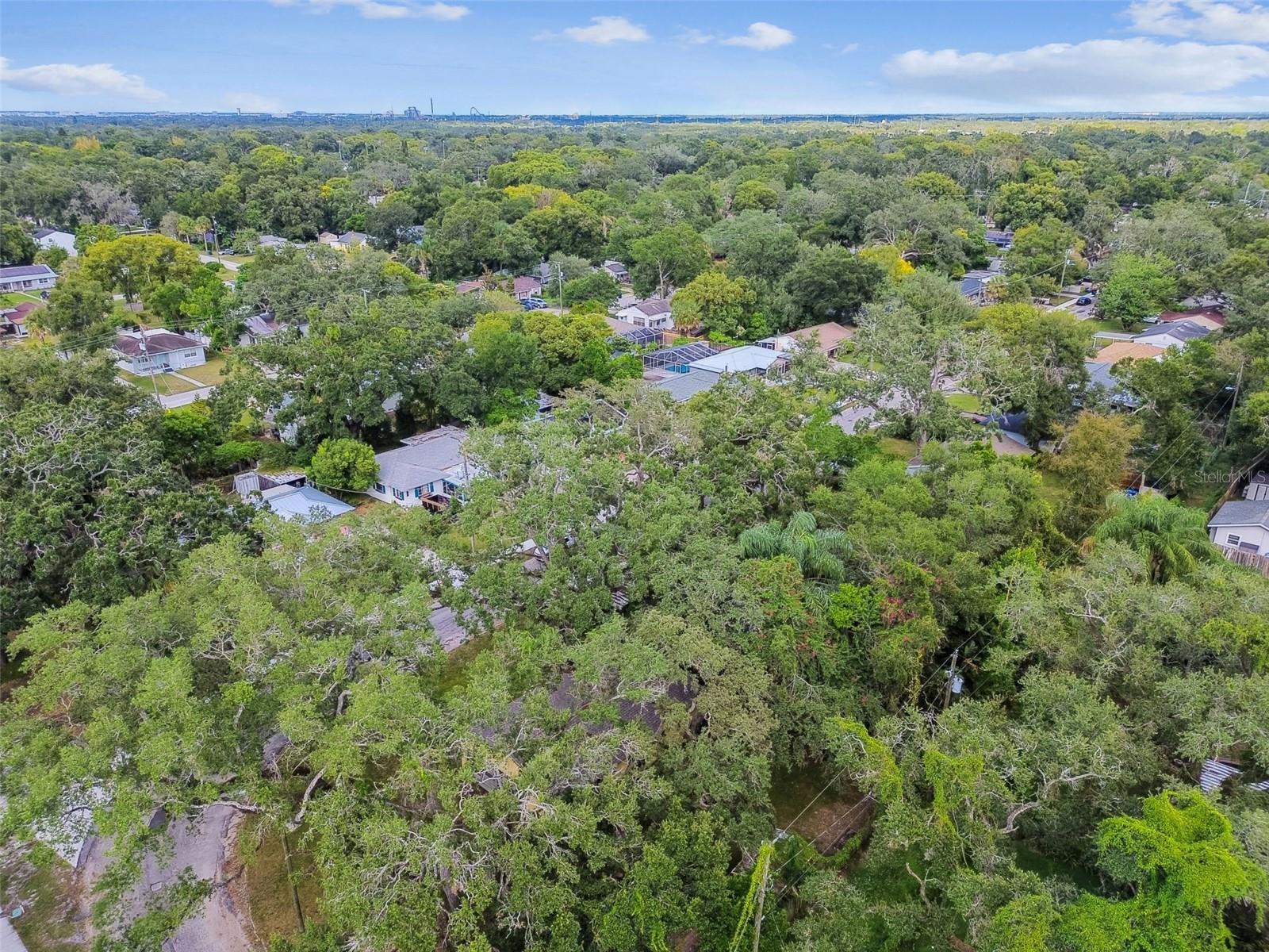 Image 48 of 49 For 1001 Fern Street