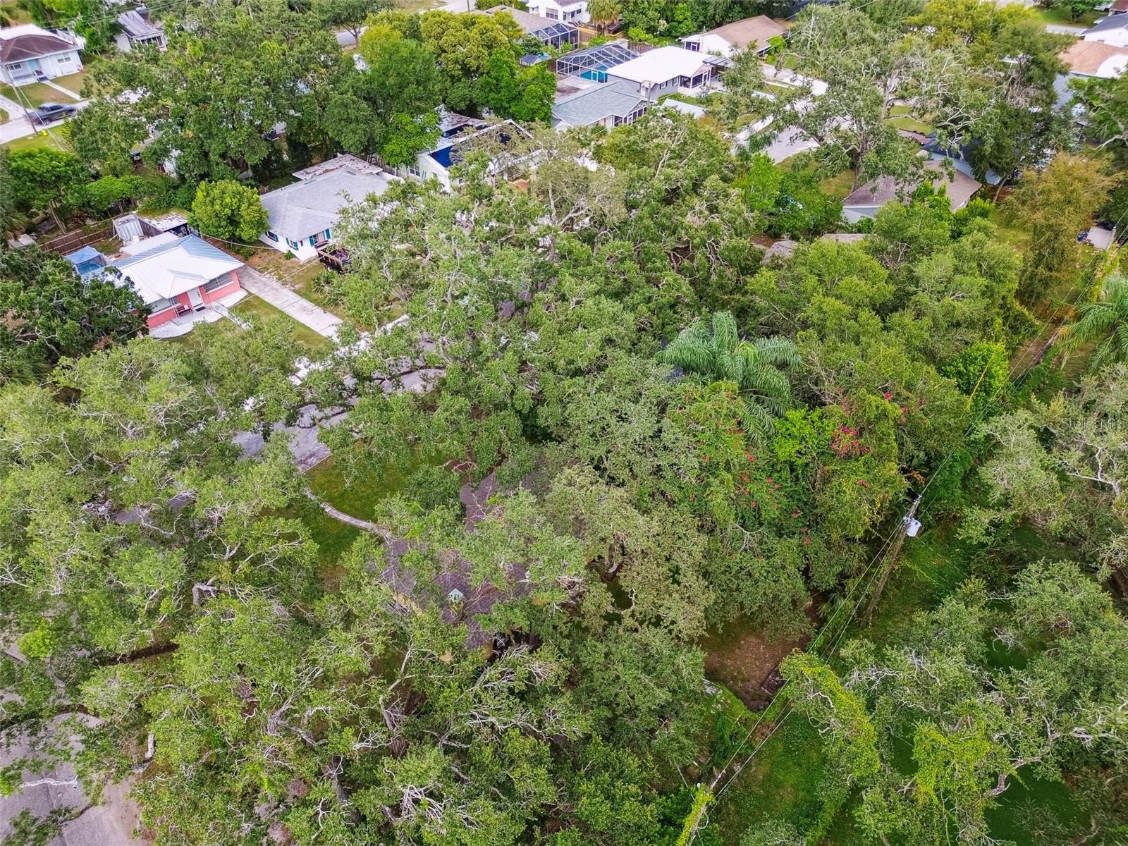 Image 49 of 49 For 1001 Fern Street