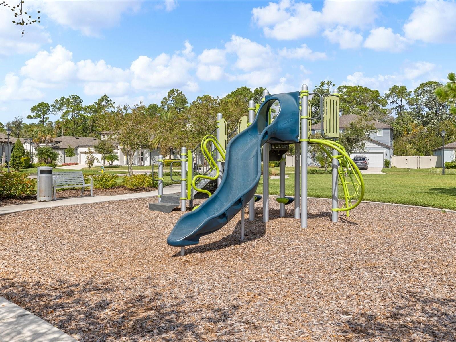 Image 46 of 50 For 30415 Caravelle Lane