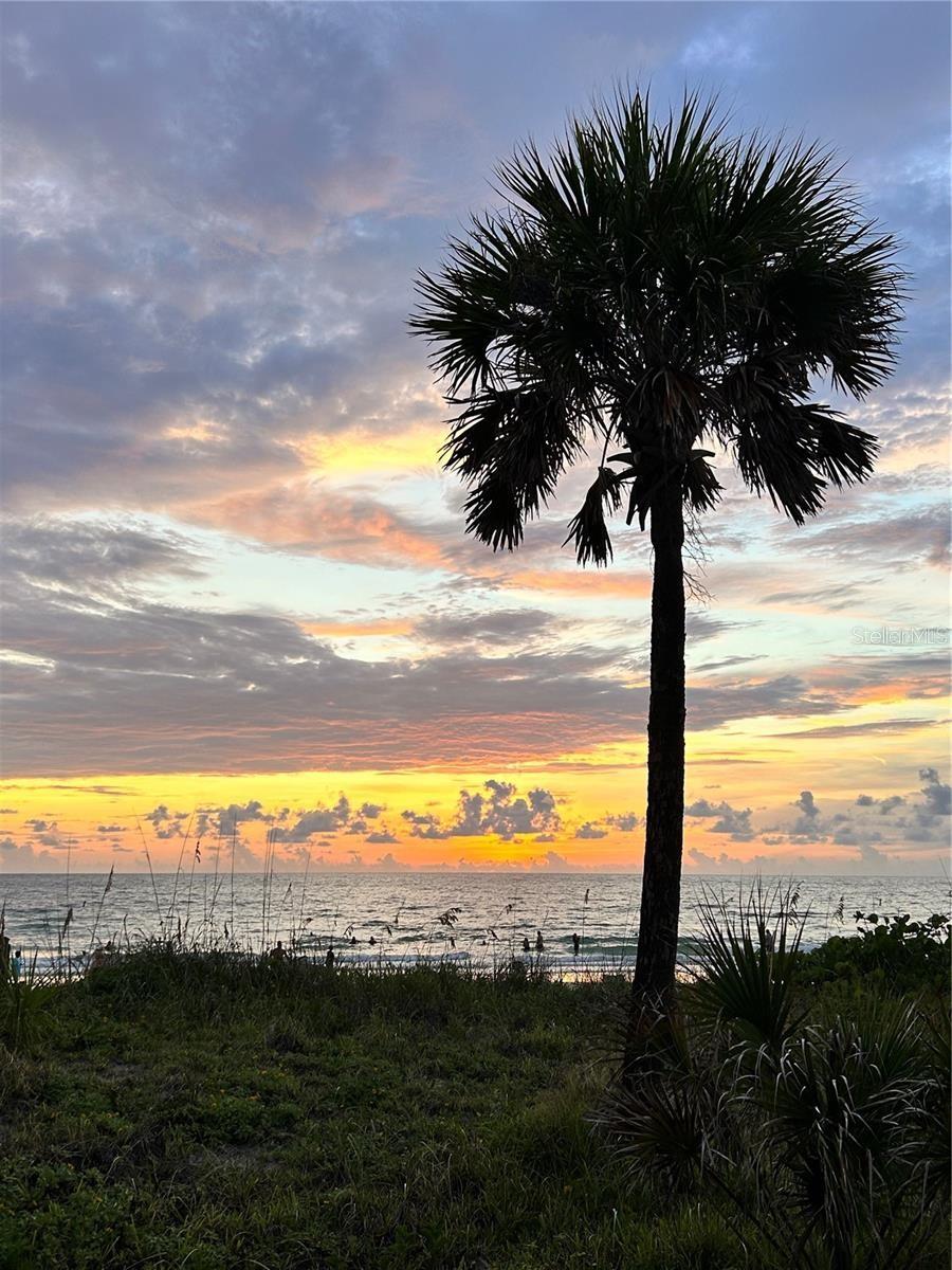 Image 39 of 41 For 124 13th Avenue