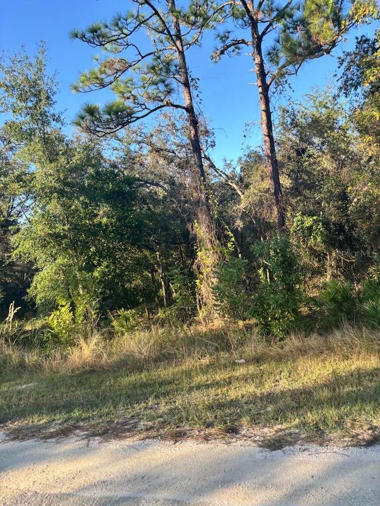 Image 4 of 6 For 33193 Easter Drive