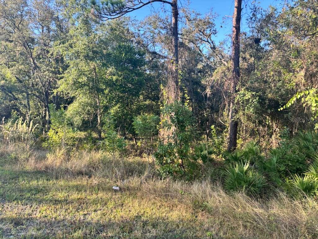 Image 5 of 6 For 33193 Easter Drive