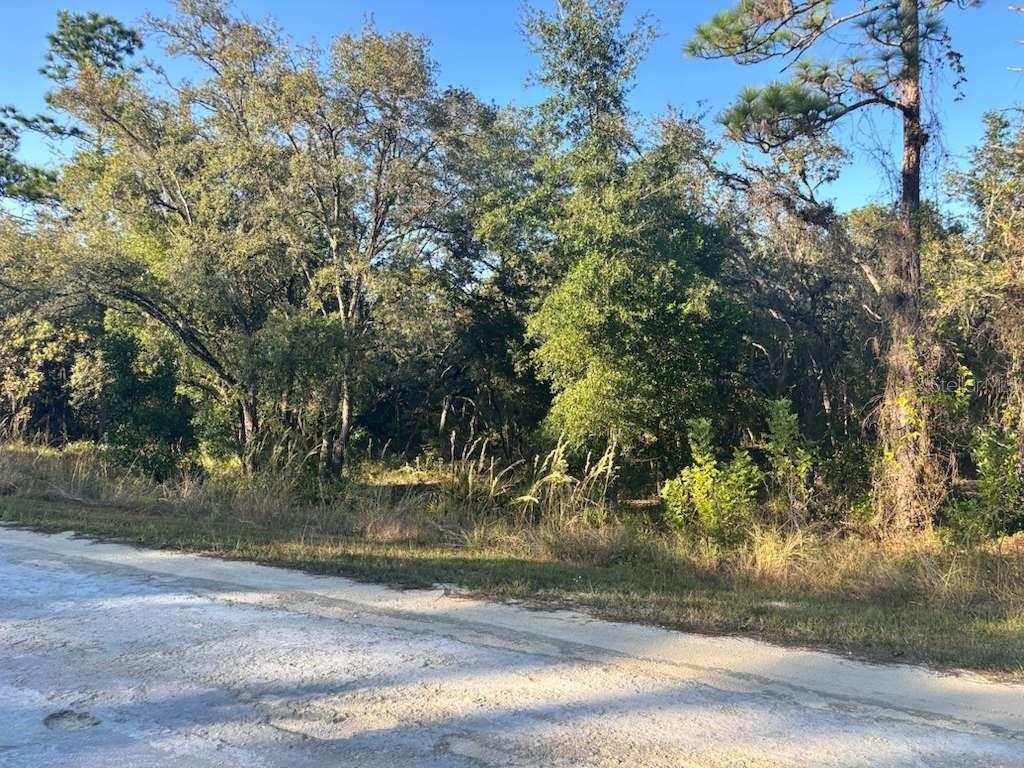 Image 6 of 6 For 33193 Easter Drive