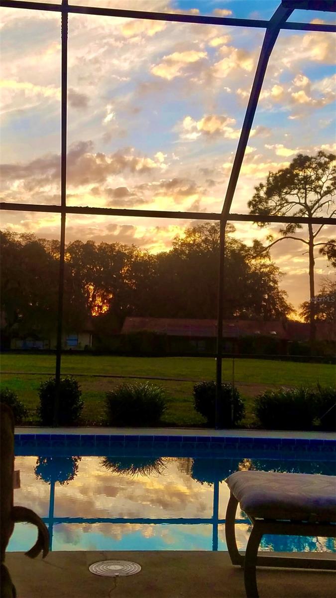 Image 55 of 56 For 34448 Cedarfield Drive