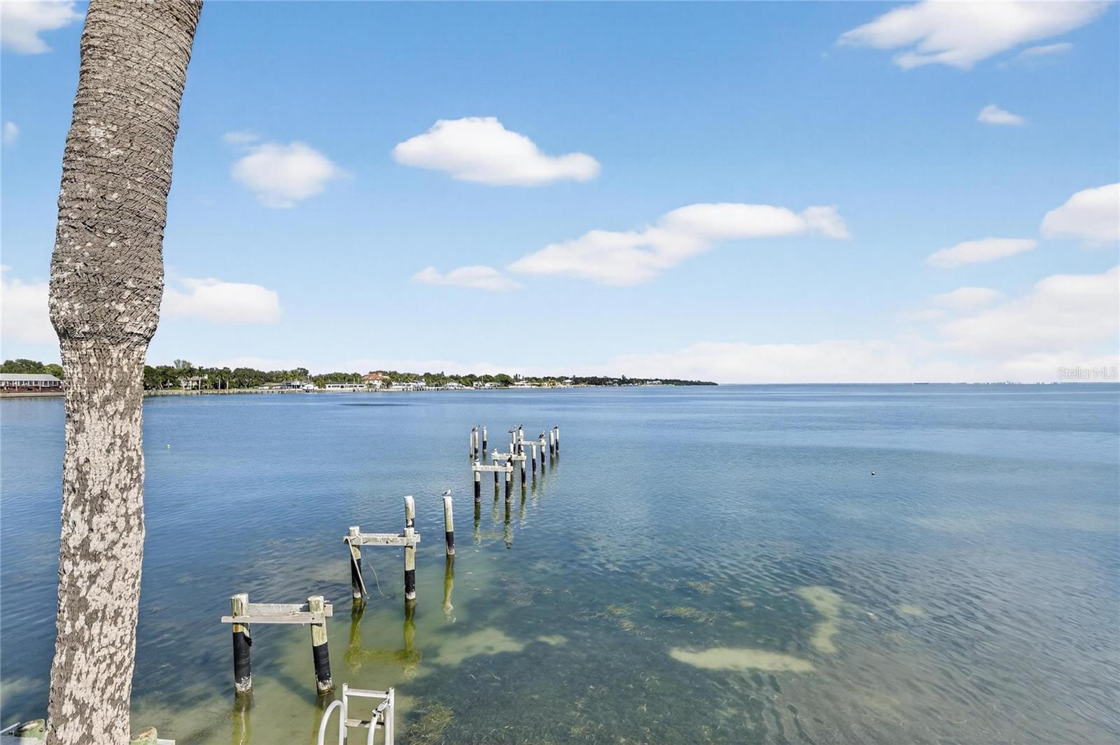 Image 64 of 74 For 7100 Sunshine Skyway Lane S 503