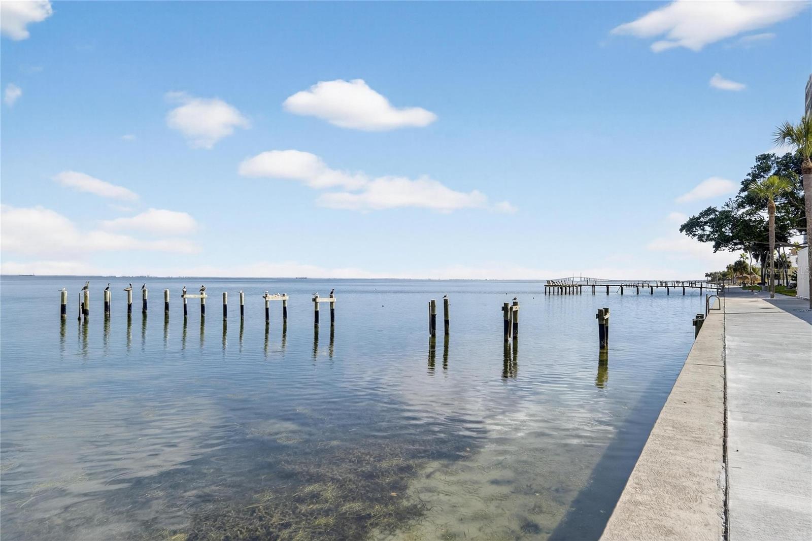 Image 66 of 74 For 7100 Sunshine Skyway Lane S 503