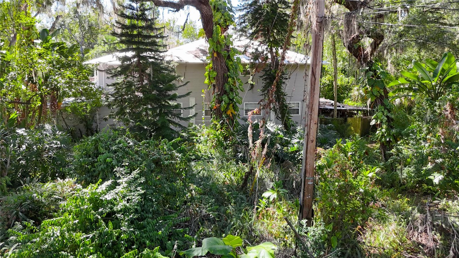 Image 15 of 74 For 116 Currys Landing Trail