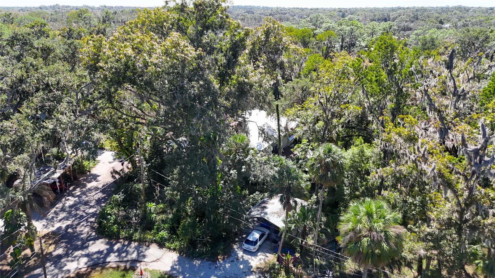 Image 62 of 74 For 116 Currys Landing Trail