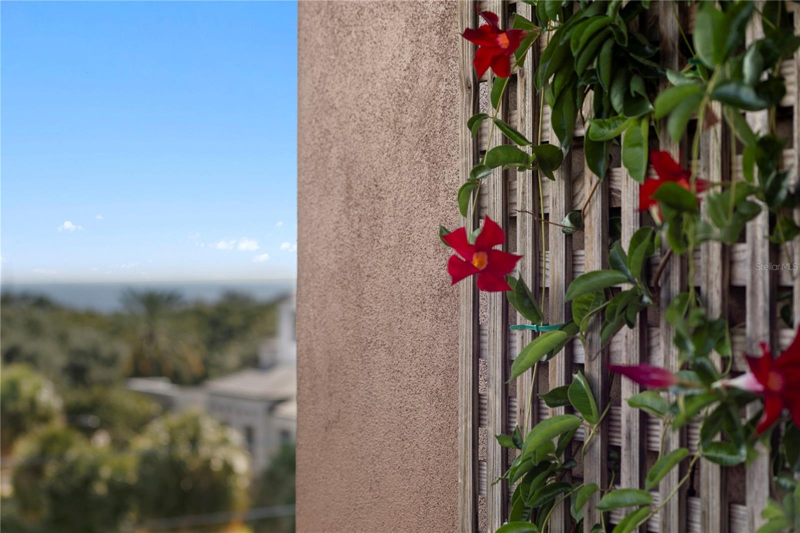 Image 52 of 79 For 153 5th Avenue Ne