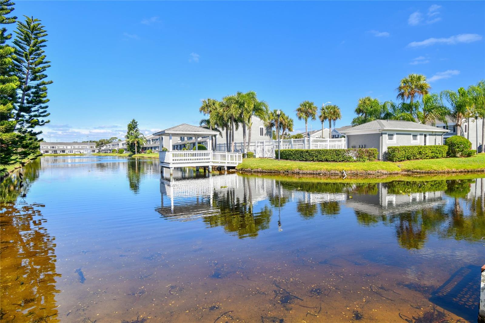 Image 59 of 73 For 239 Countryside Key Boulevard