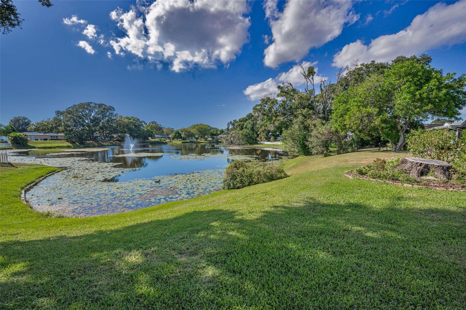 Image 40 of 48 For 2087 Hillwood Drive