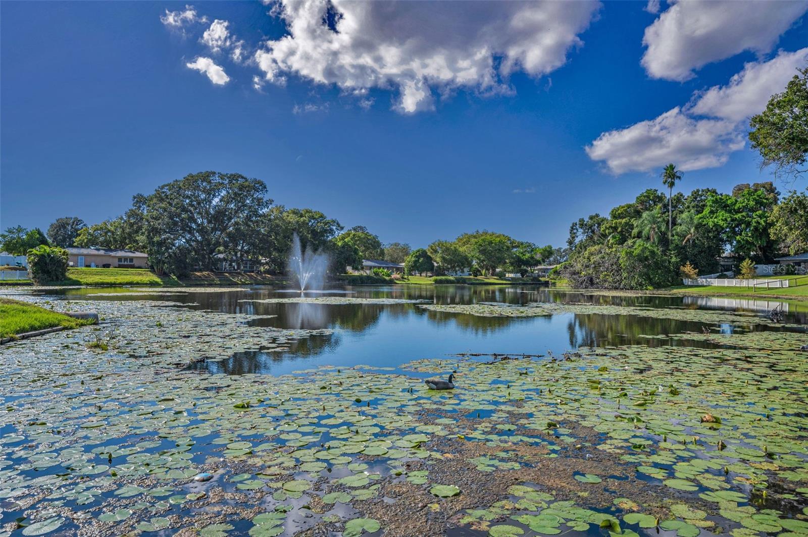 Image 42 of 48 For 2087 Hillwood Drive