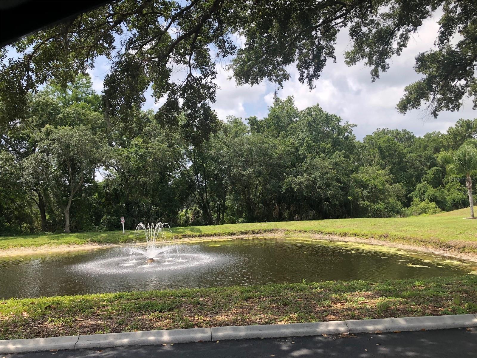 Image 19 of 21 For 3956 Elvira Court