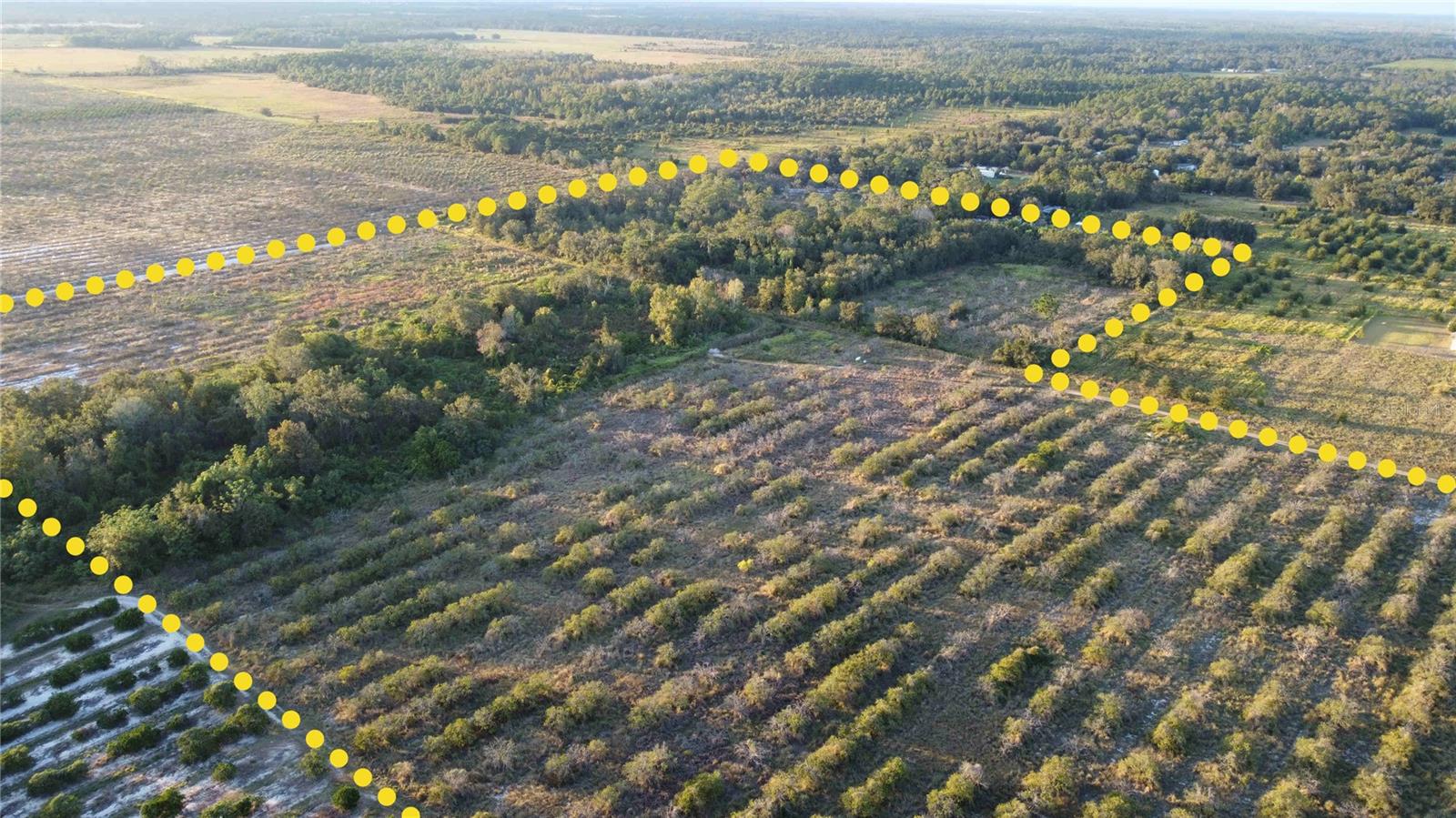 Image 2 of 11 For 1895 Otto Polk Road