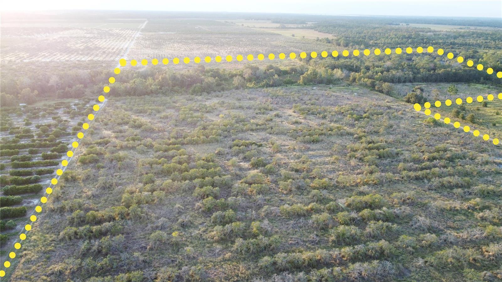 Image 4 of 11 For 1895 Otto Polk Road