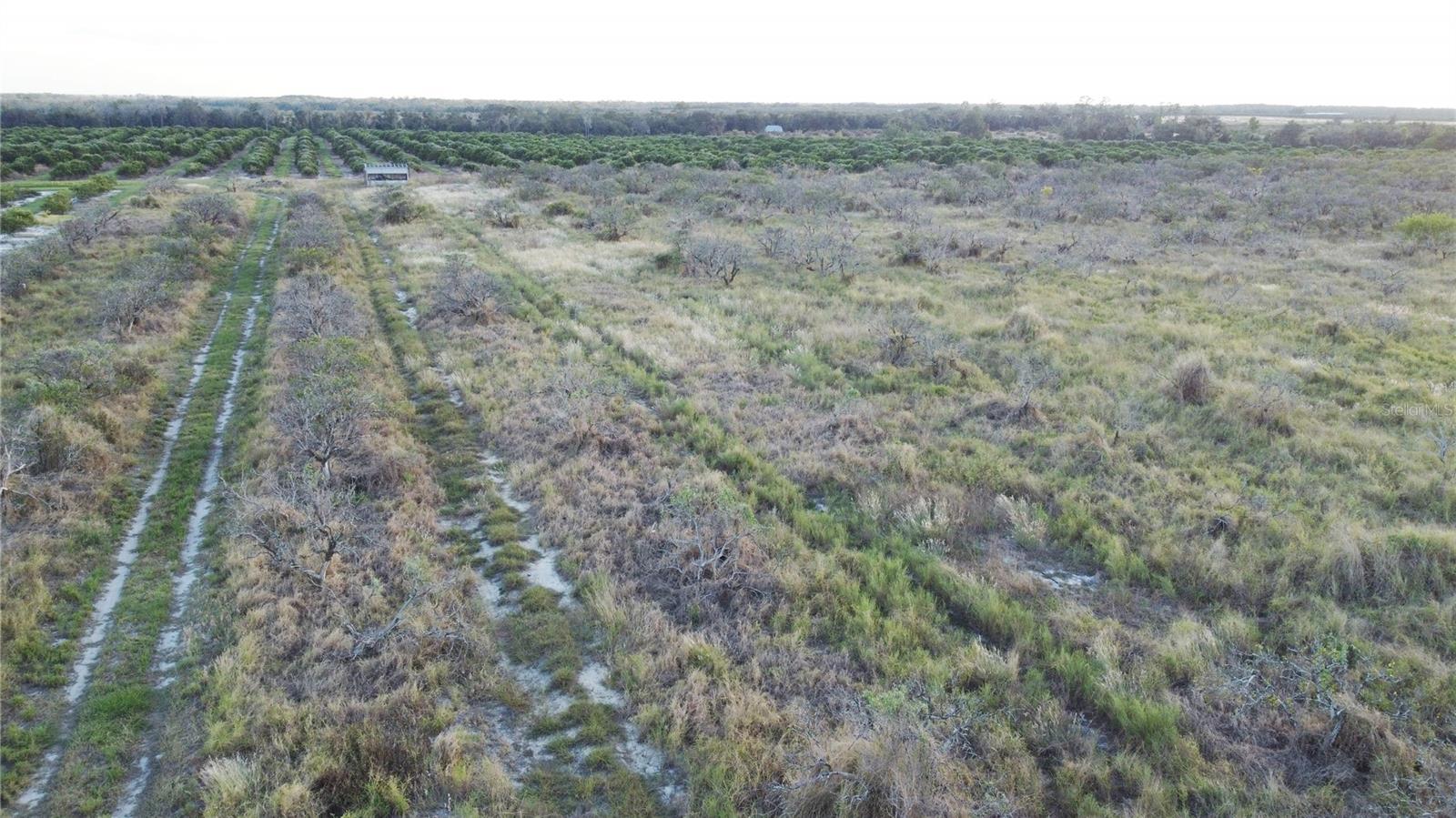 Image 5 of 11 For 1895 Otto Polk Road