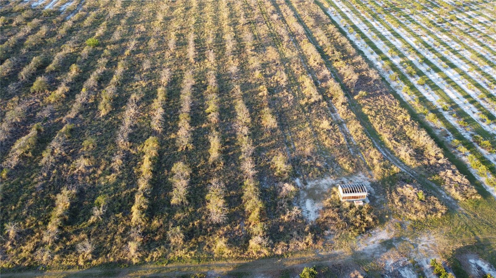 Image 6 of 11 For 1895 Otto Polk Road