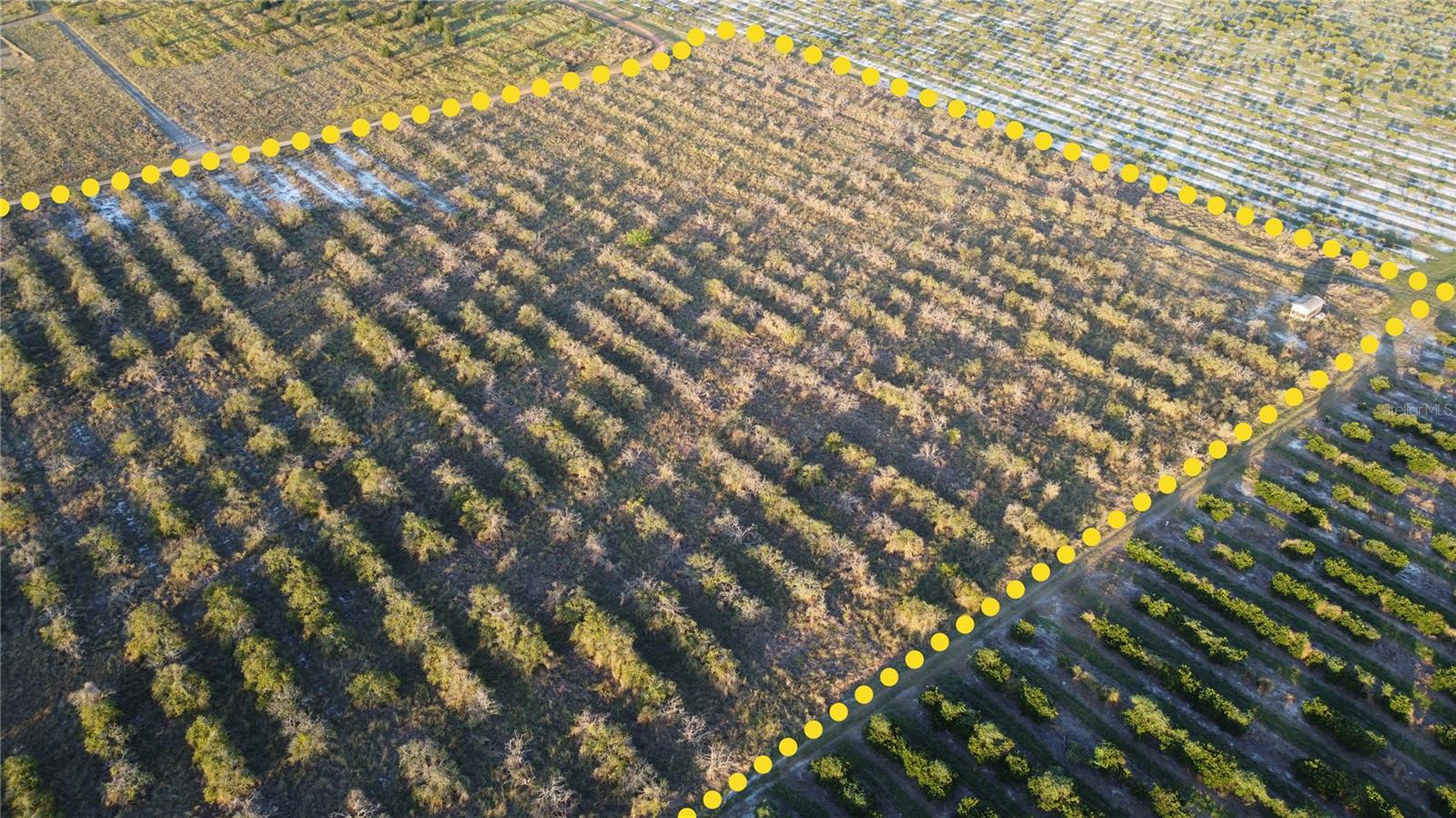 Image 7 of 11 For 1895 Otto Polk Road