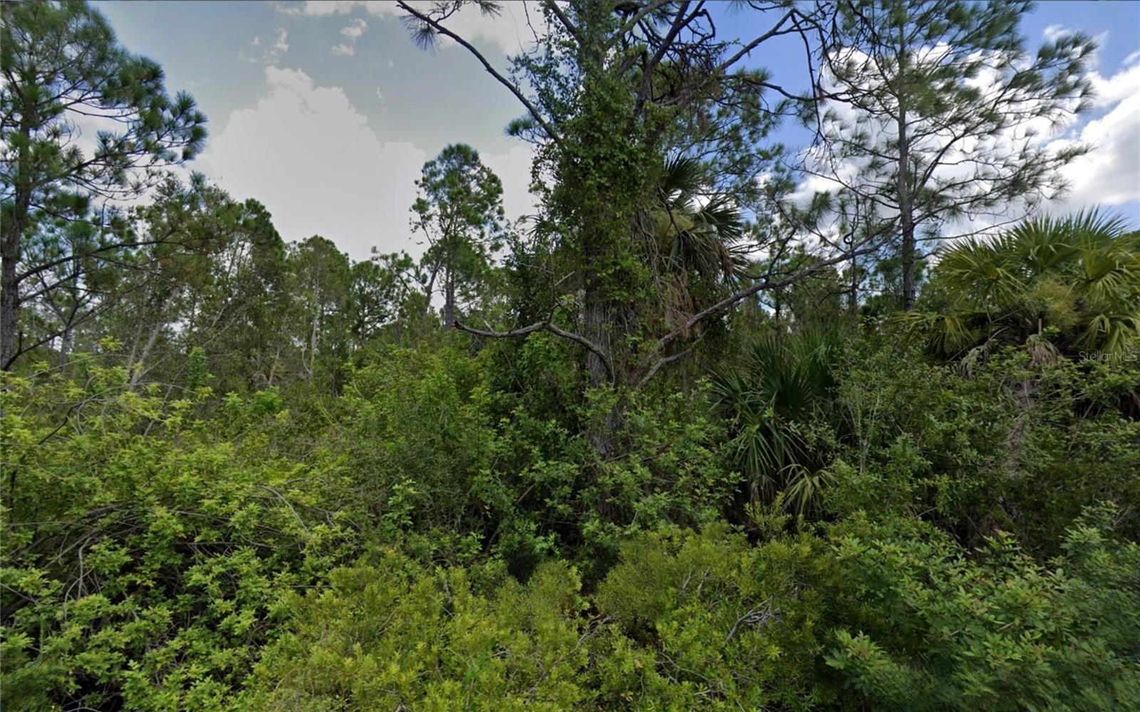 Image 2 of 2 For 7442 Gewant Boulevard