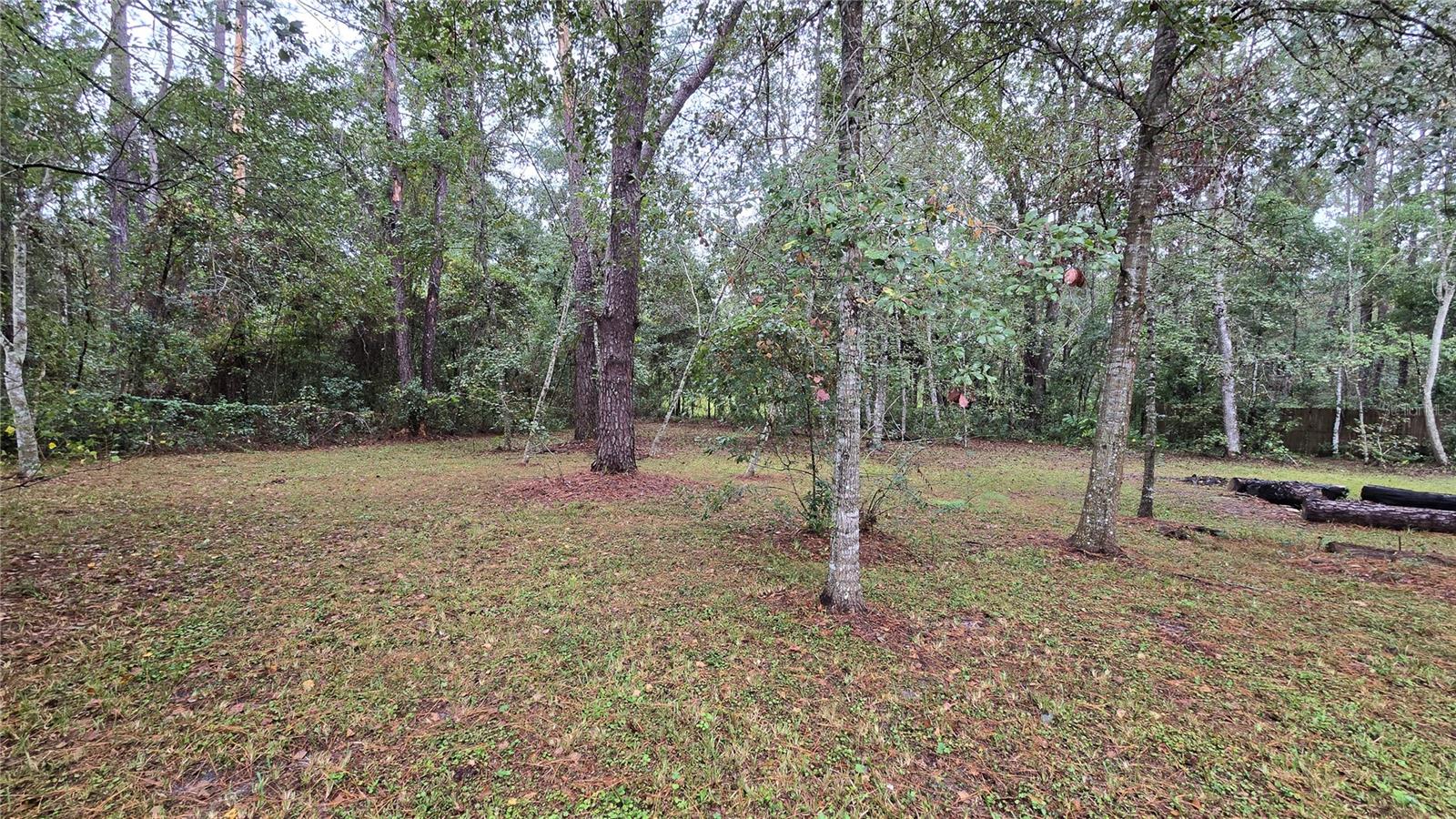 Image 25 of 100 For 18426 Powell Road