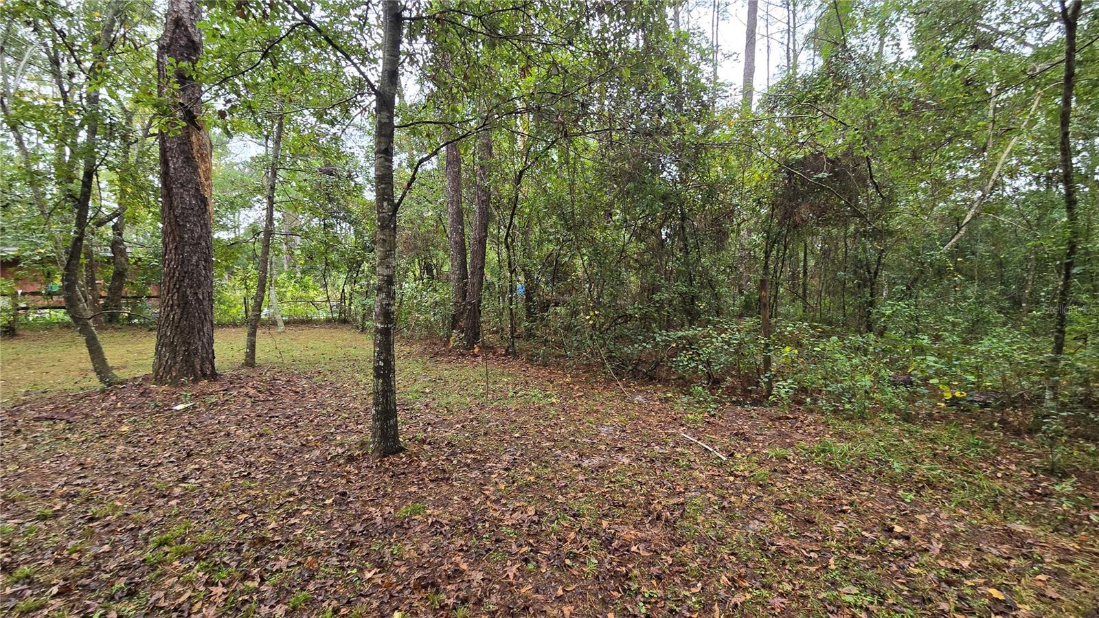 Image 31 of 100 For 18426 Powell Road